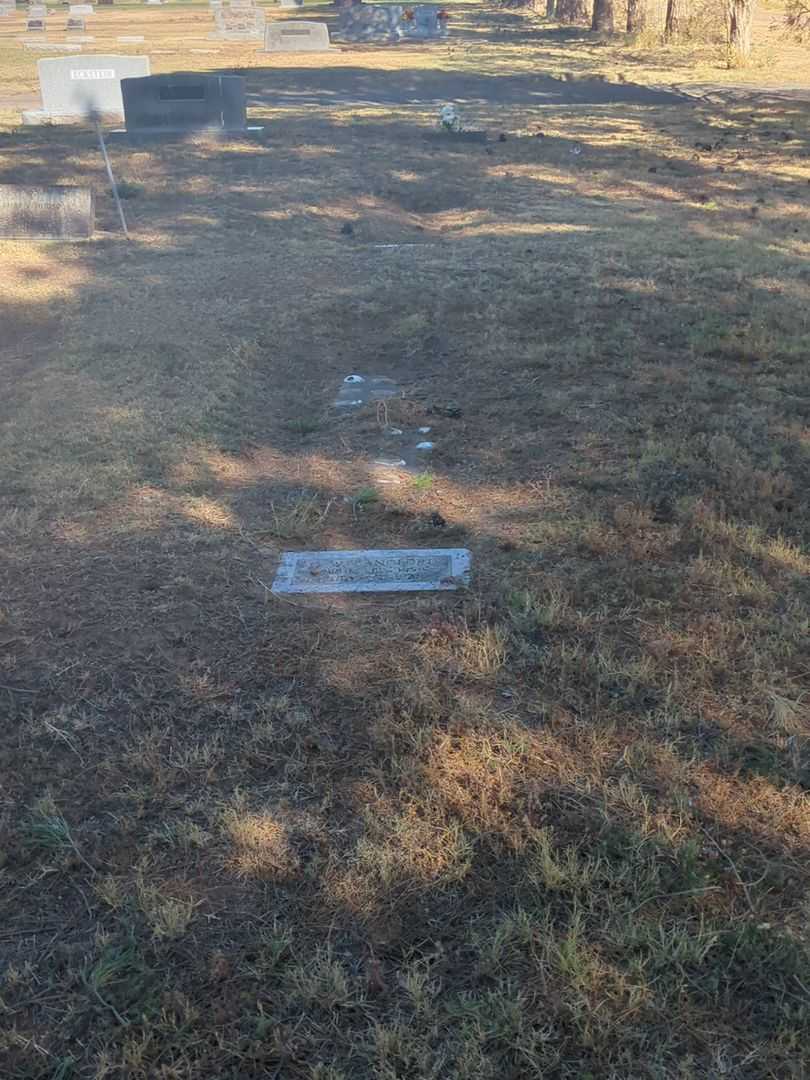 G. W. Langford's grave. Photo 1