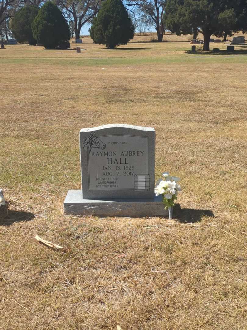 Raymon Aubrey Hall's grave. Photo 1