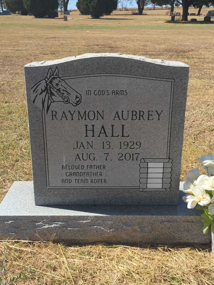 Raymon Aubrey Hall's grave. Photo 2