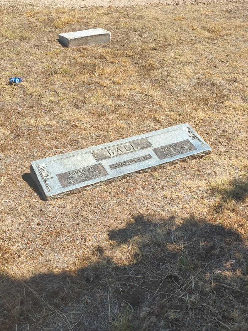 Charlie C. Ball's grave. Photo 1