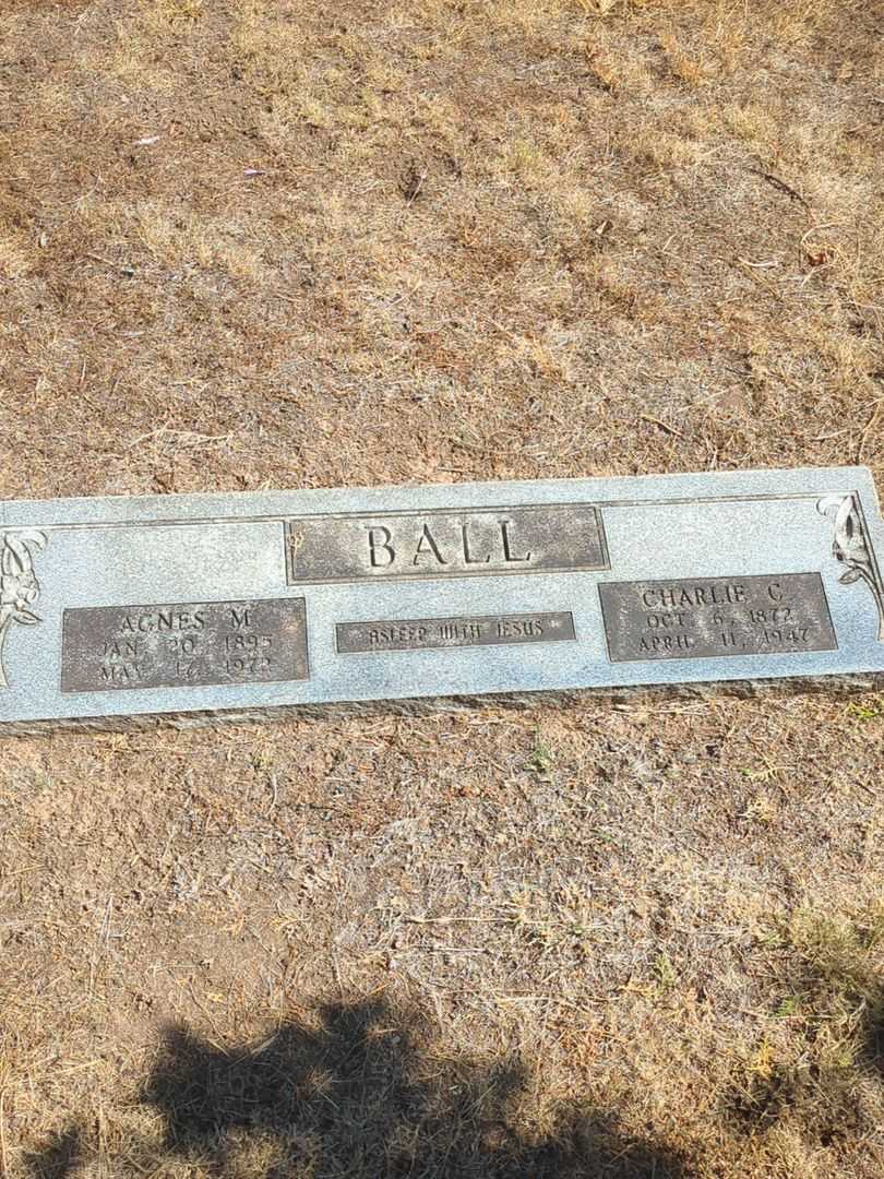Charlie C. Ball's grave. Photo 2
