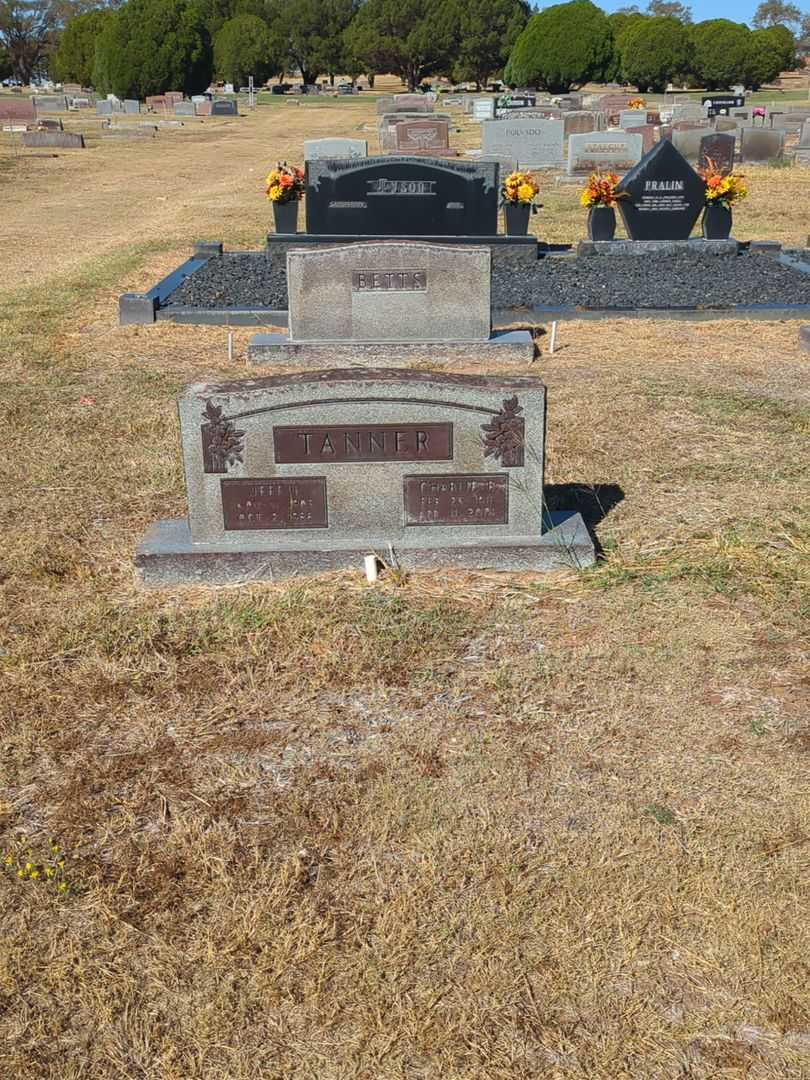 Jeff L. Tanner's grave. Photo 2