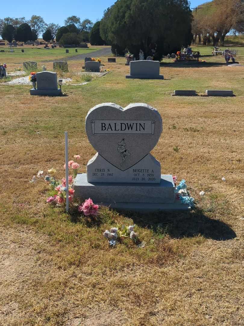 Brigette Ann Baldwin's grave. Photo 2