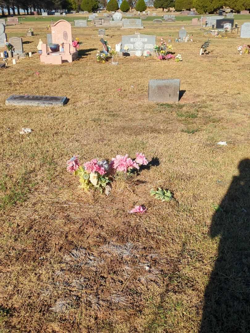 Edeviges Salazar's grave. Photo 2