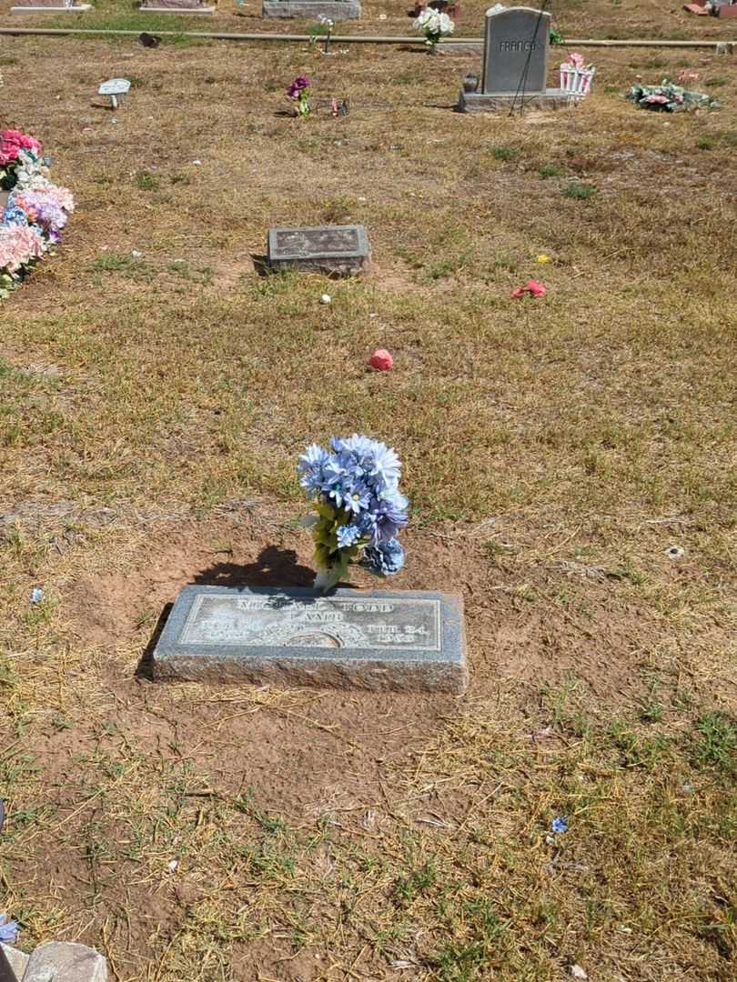 Michael Todd Lamb's grave. Photo 2