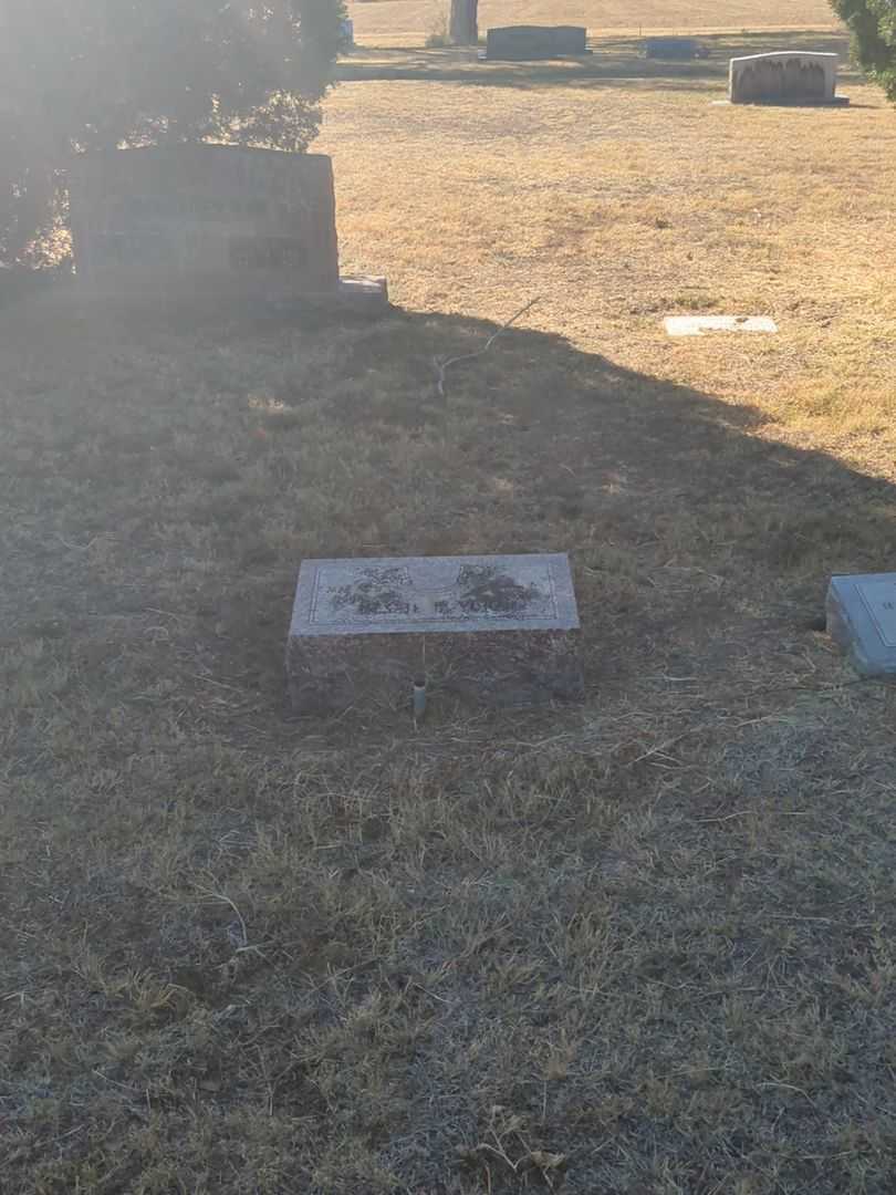 Essie Vera York's grave. Photo 1