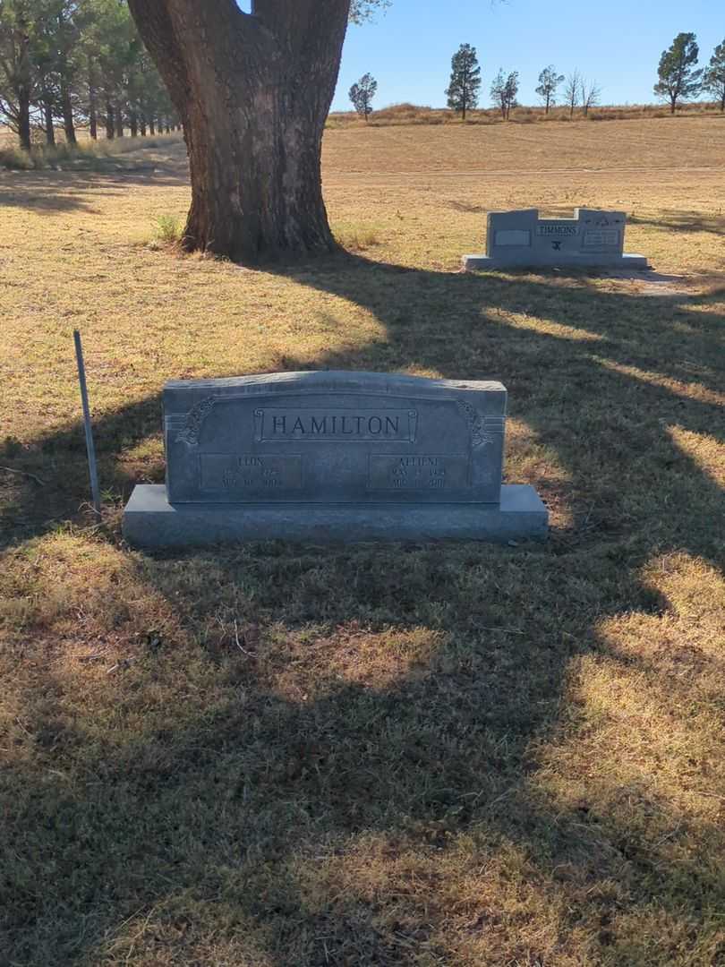 Johnnie Alliene Hamilton's grave. Photo 1