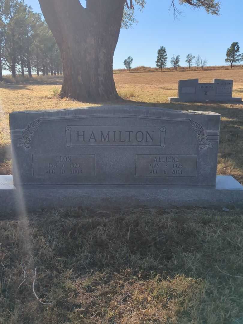 Johnnie Alliene Hamilton's grave. Photo 2