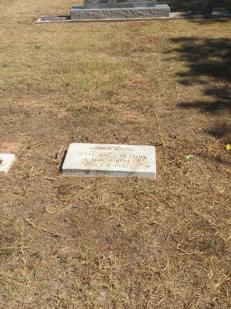 Patricia Lanell Chesshir's grave. Photo 1