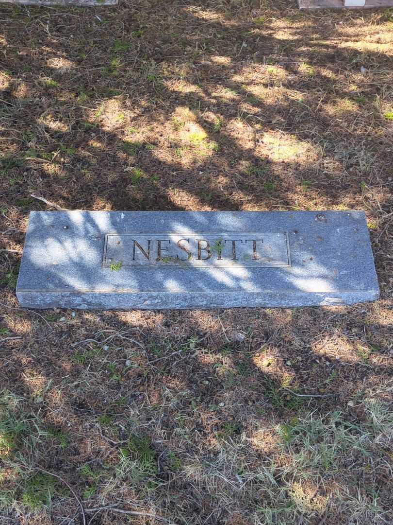 George Bert Nesbitt's grave. Photo 1