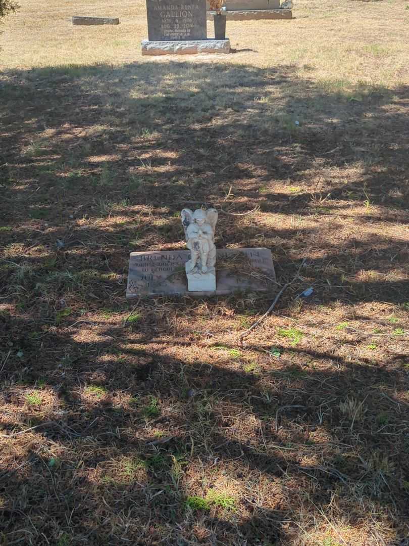 Brenda Gail Nesbitt's grave. Photo 2
