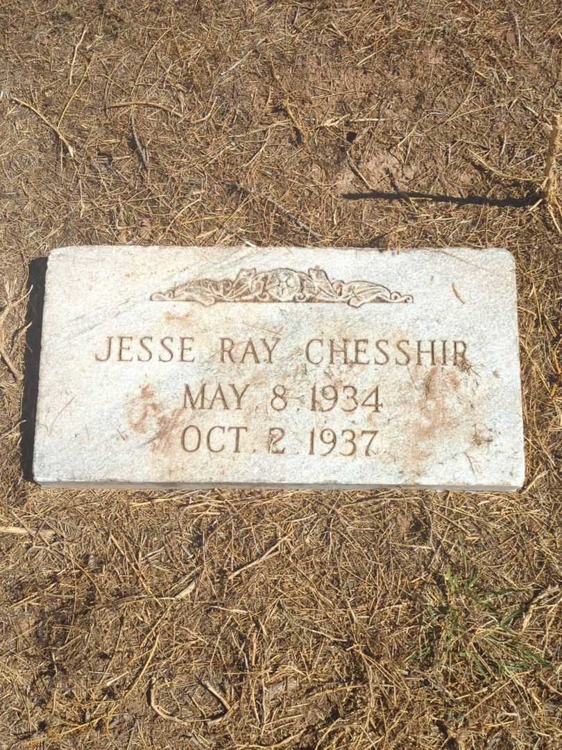 Patricia Lanell Chesshir's grave. Photo 2