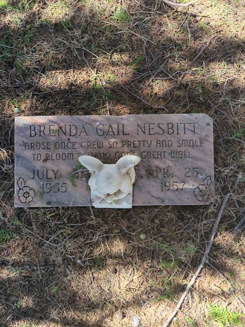 Brenda Gail Nesbitt's grave. Photo 3