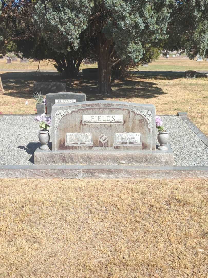 Cyrus W. "C. Y." Fields's grave. Photo 1