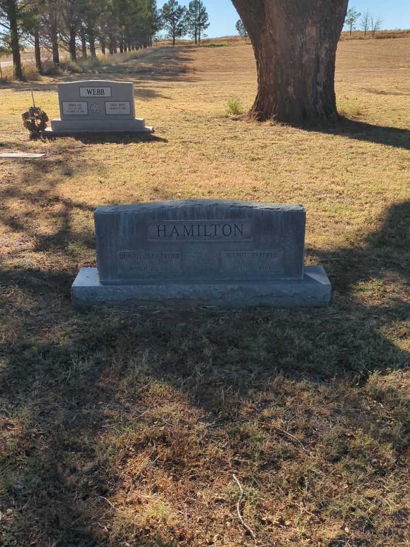 Duard Elder "D. E." Hamilton's grave. Photo 1