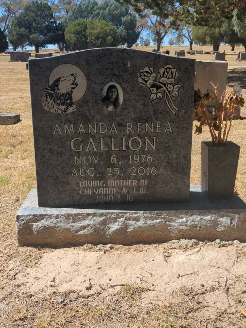 Amanda Renea Gallion's grave. Photo 2