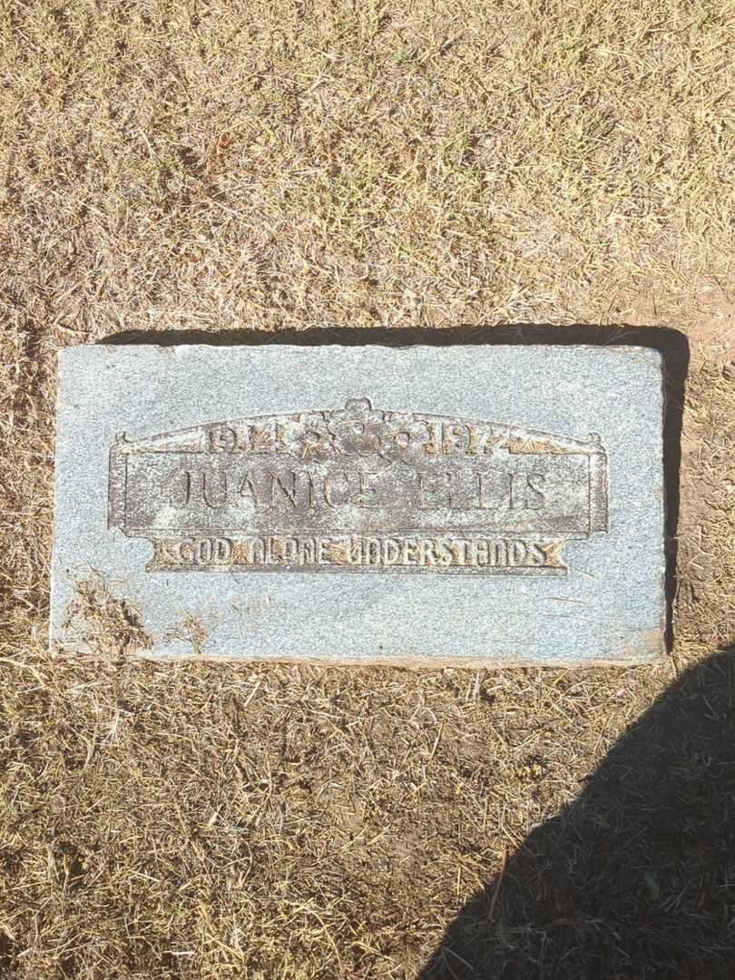 Juanice Ellis's grave. Photo 2