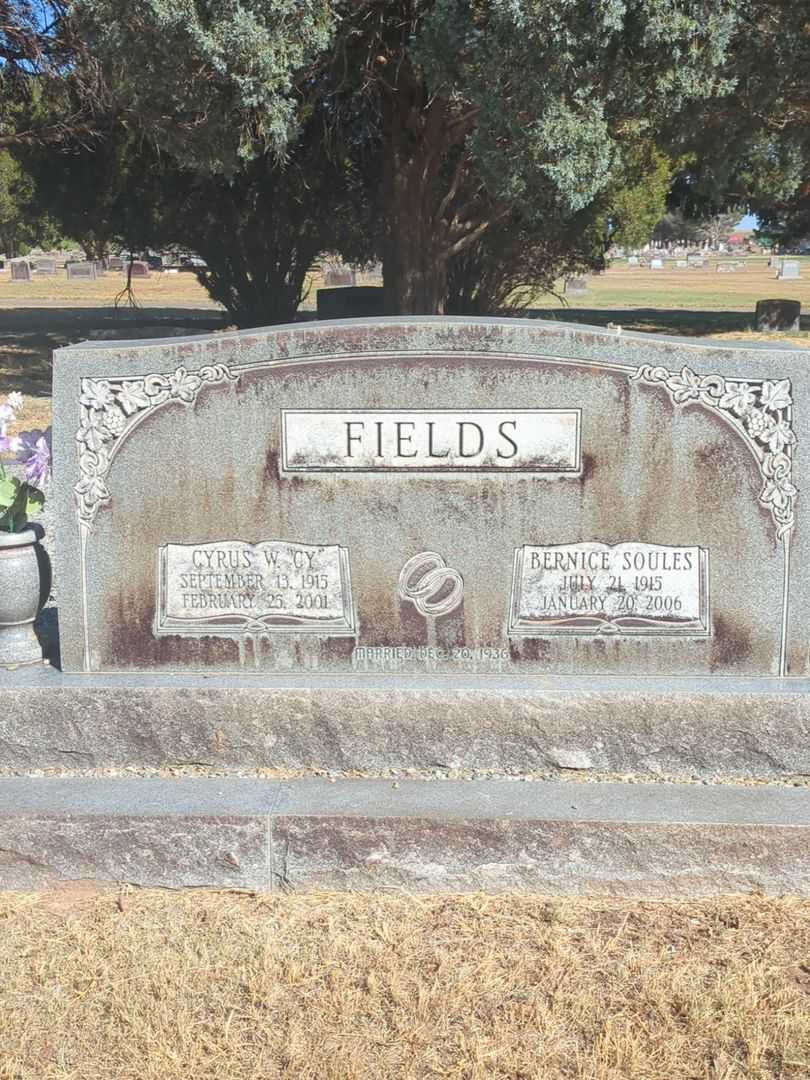 Cyrus W. "C. Y." Fields's grave. Photo 2