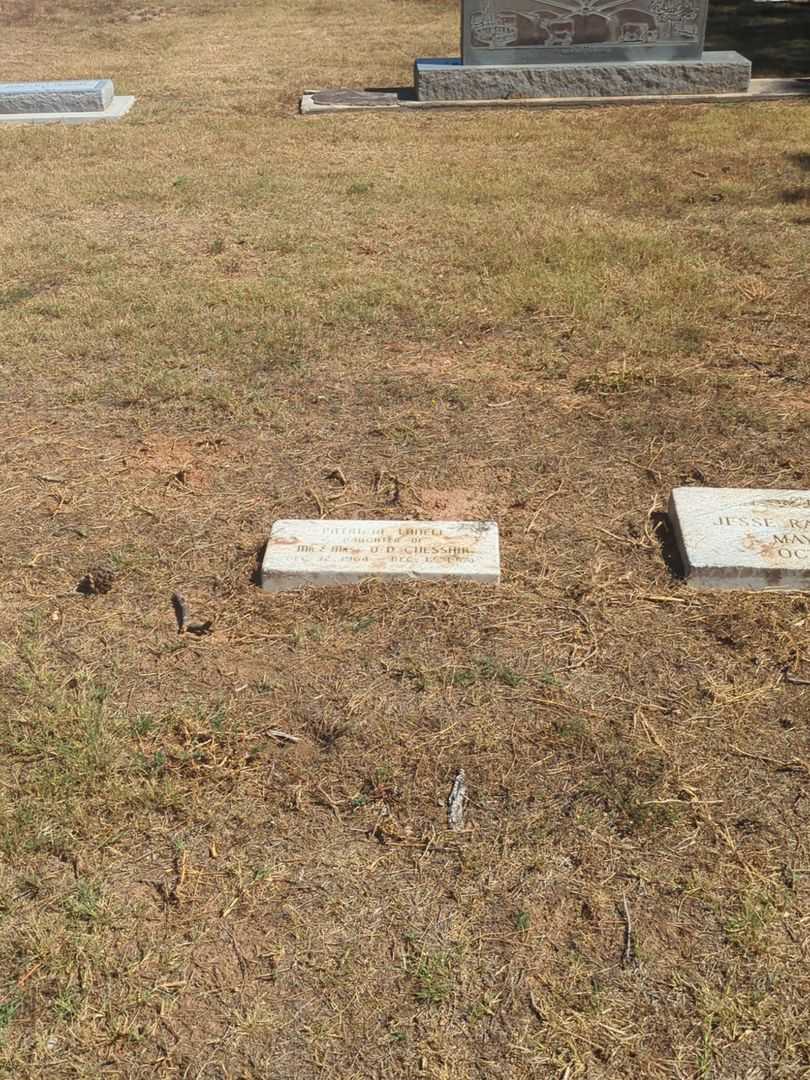 Patricia Lanell Chesshir's grave. Photo 3