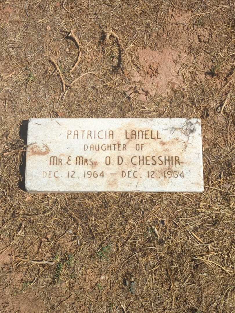 Patricia Lanell Chesshir's grave. Photo 4