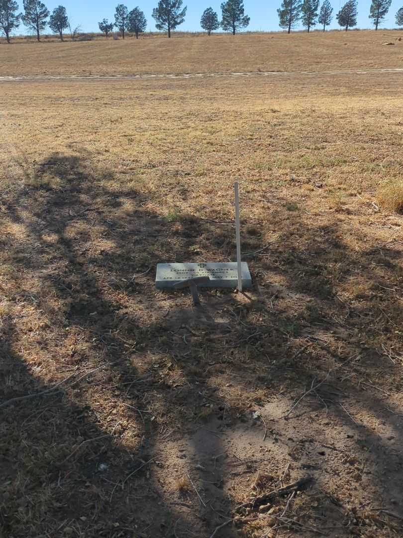 Lonnie Dale Wagner's grave. Photo 1