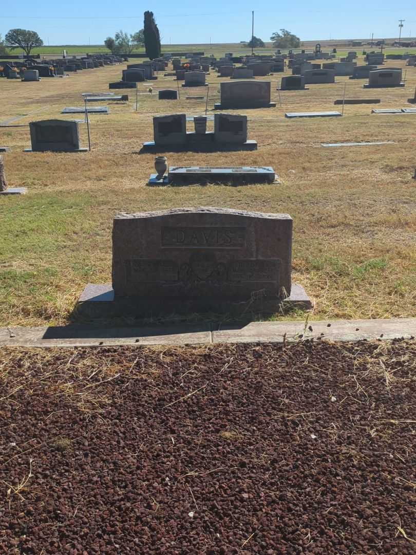 Dewey W. Davis's grave. Photo 2
