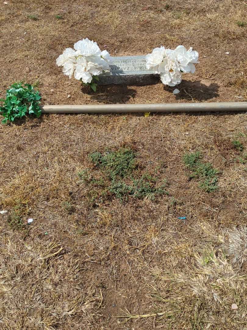 Robert M. Zapata's grave. Photo 2