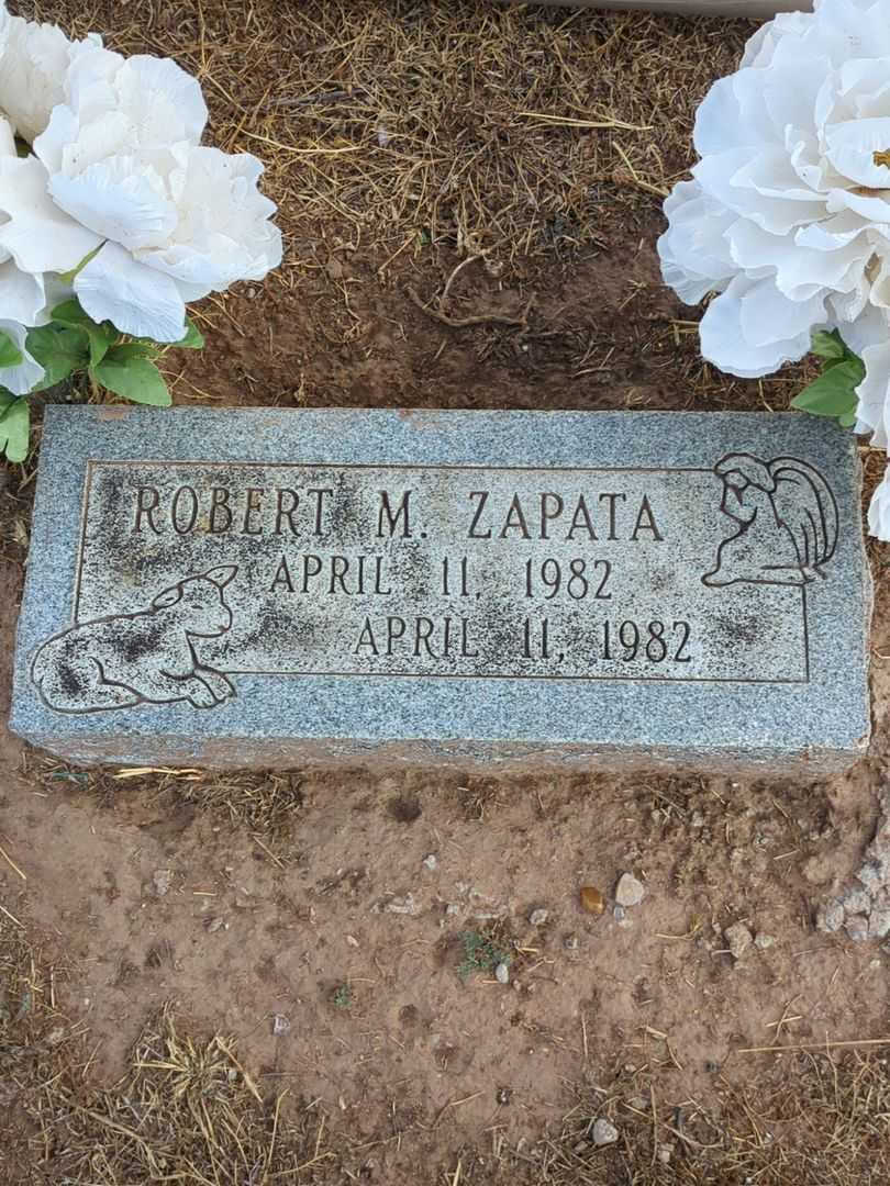 Robert M. Zapata's grave. Photo 3