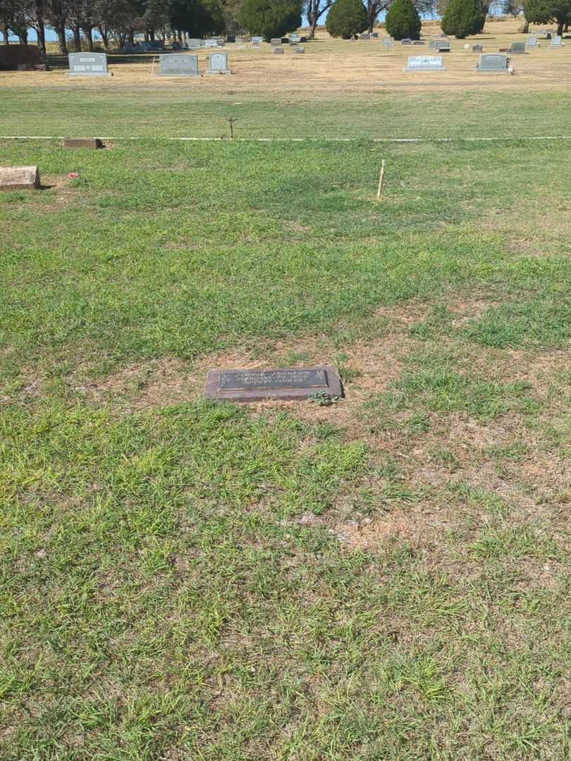 Jimmie Jackson's grave. Photo 1