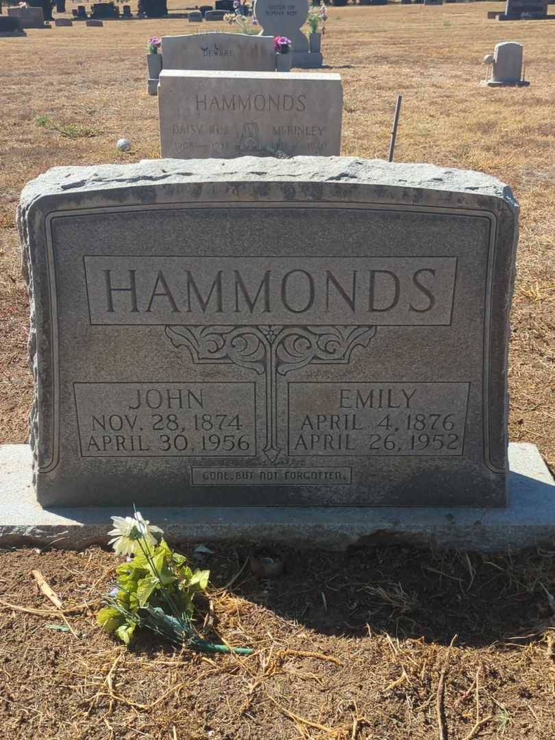 Emily Hammonds's grave. Photo 2