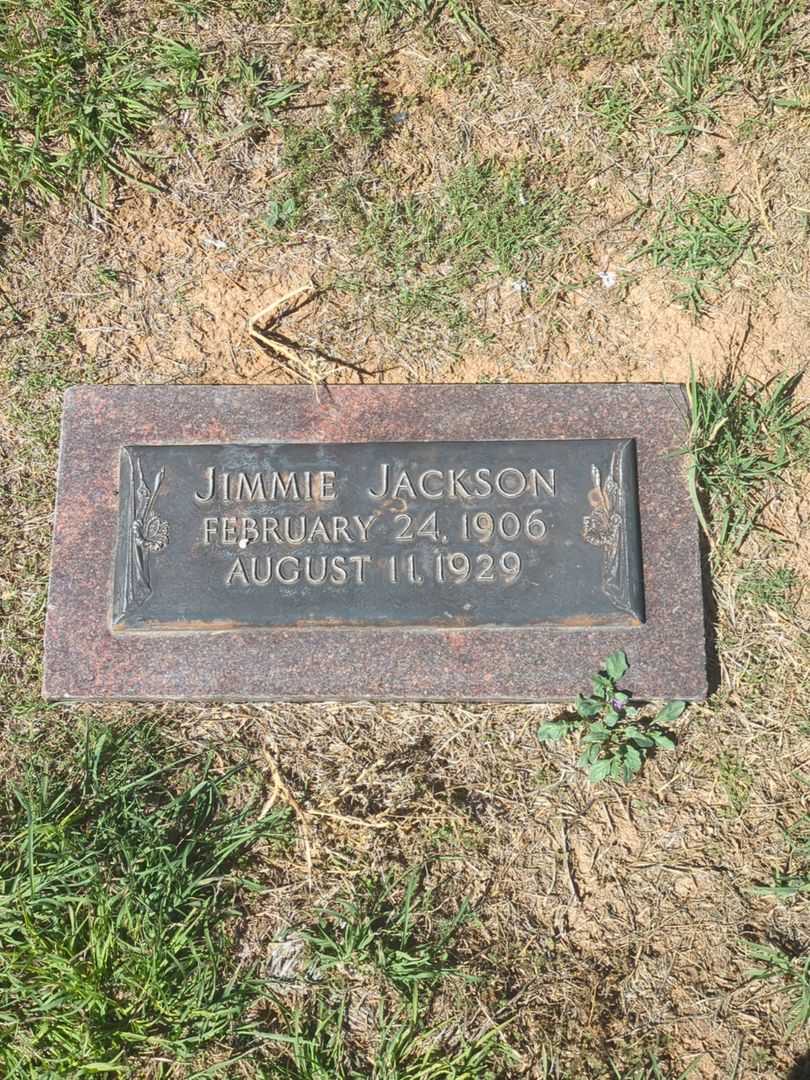 Jimmie Jackson's grave. Photo 2