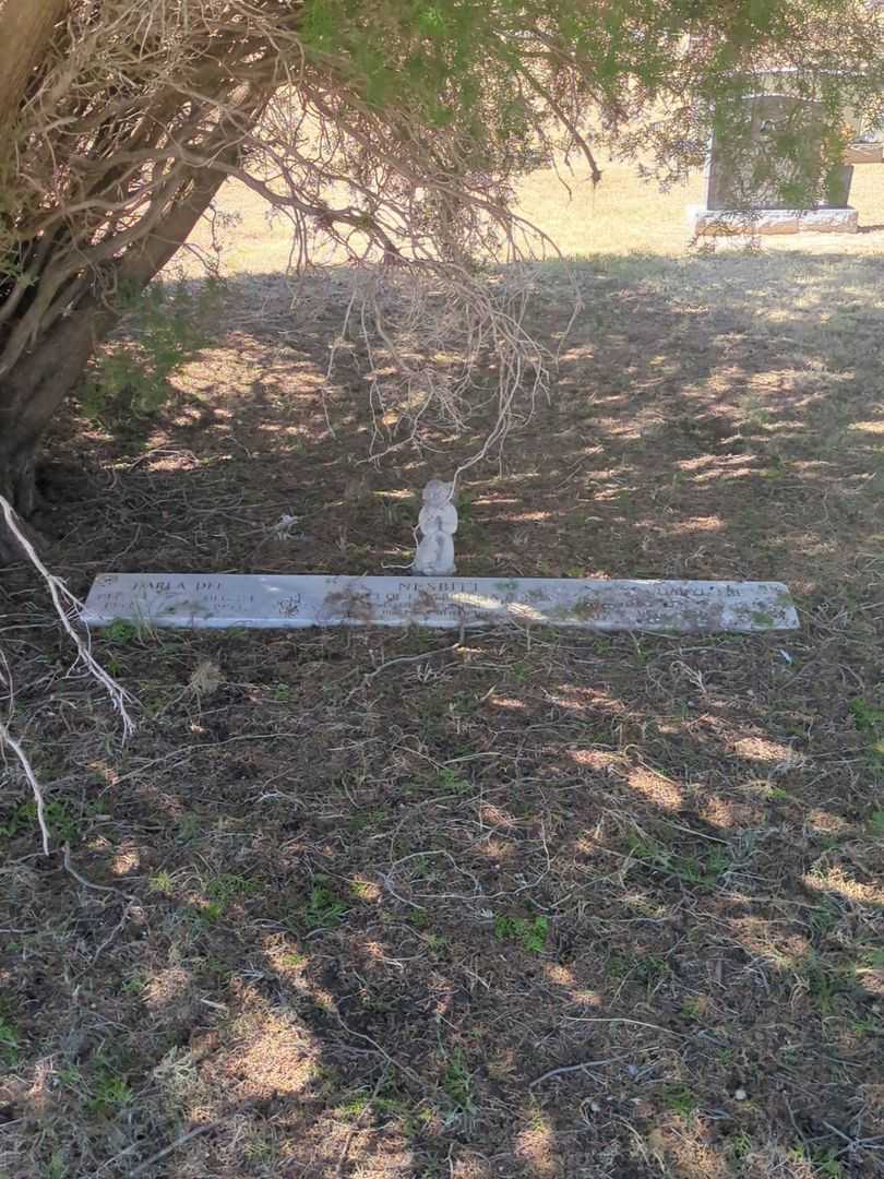Darla Dee Nesbitt's grave. Photo 2