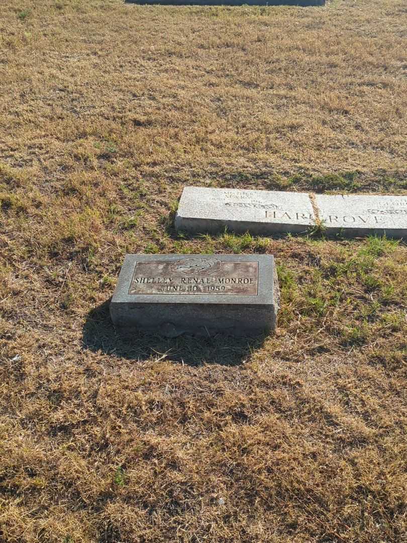 Jean Hall Monroe's grave. Photo 3