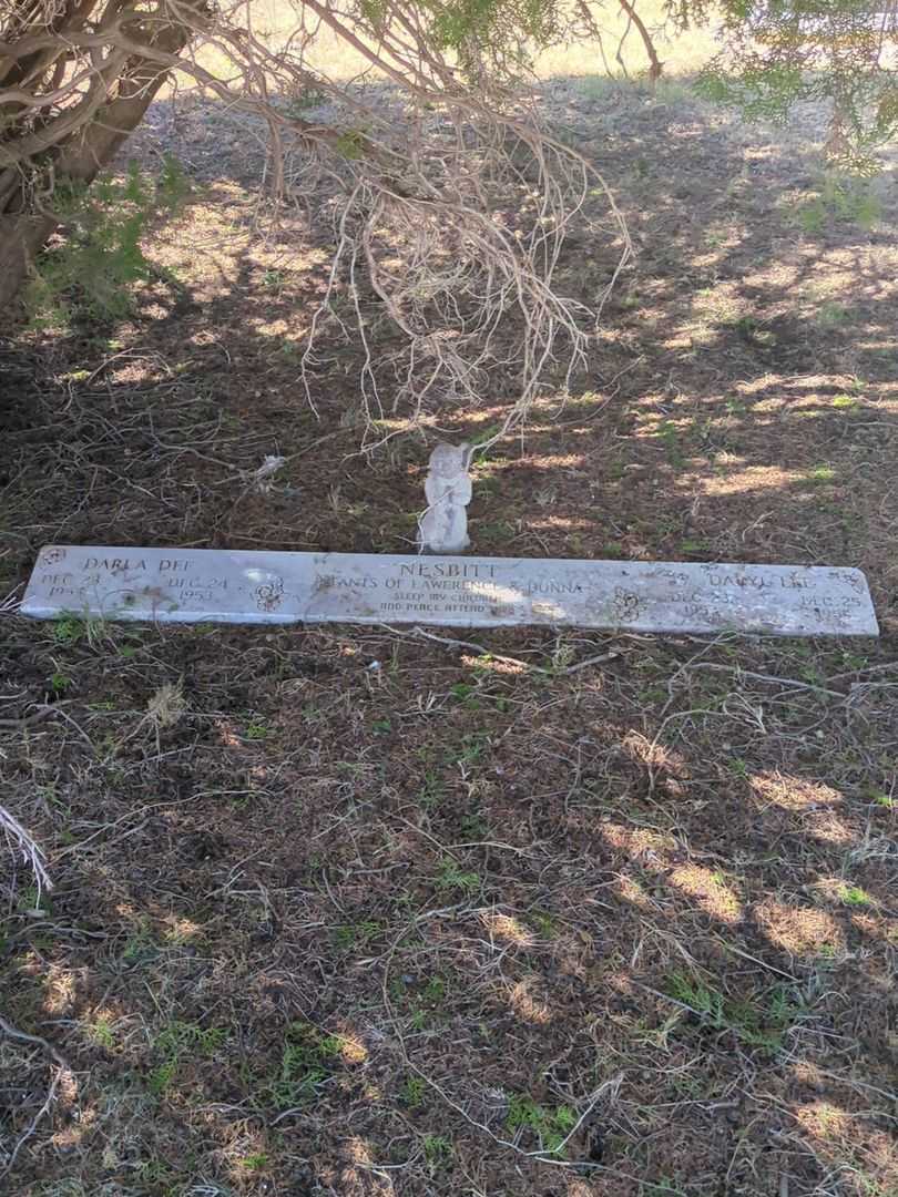 Darla Dee Nesbitt's grave. Photo 3