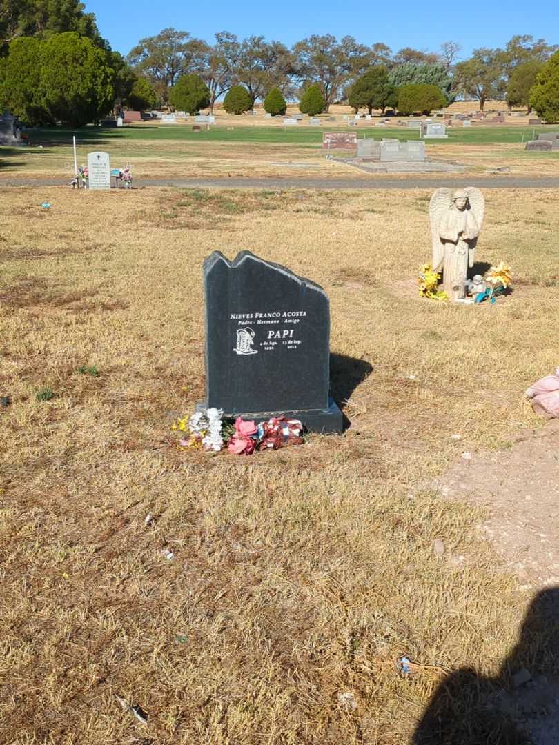 Nieves Franco Acosta's grave. Photo 2