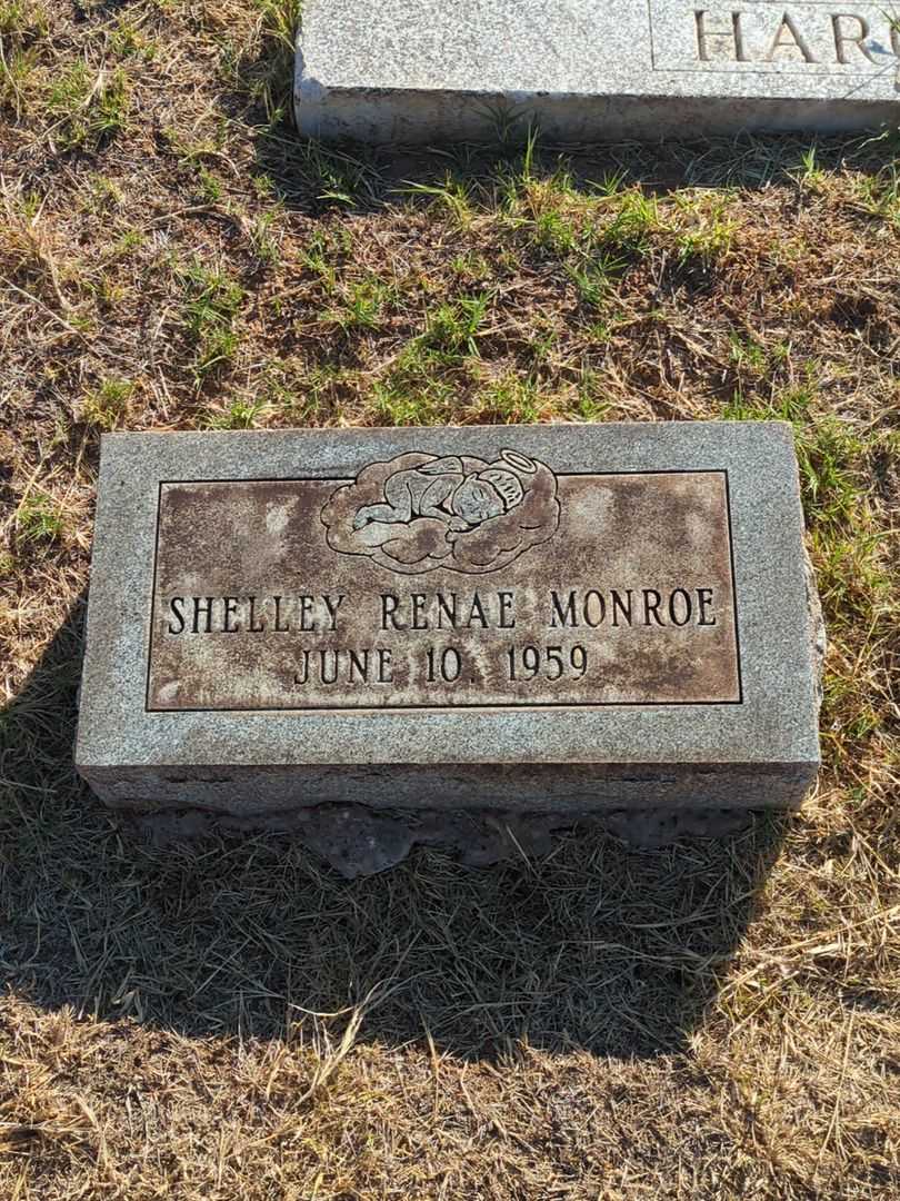 Jean Hall Monroe's grave. Photo 4