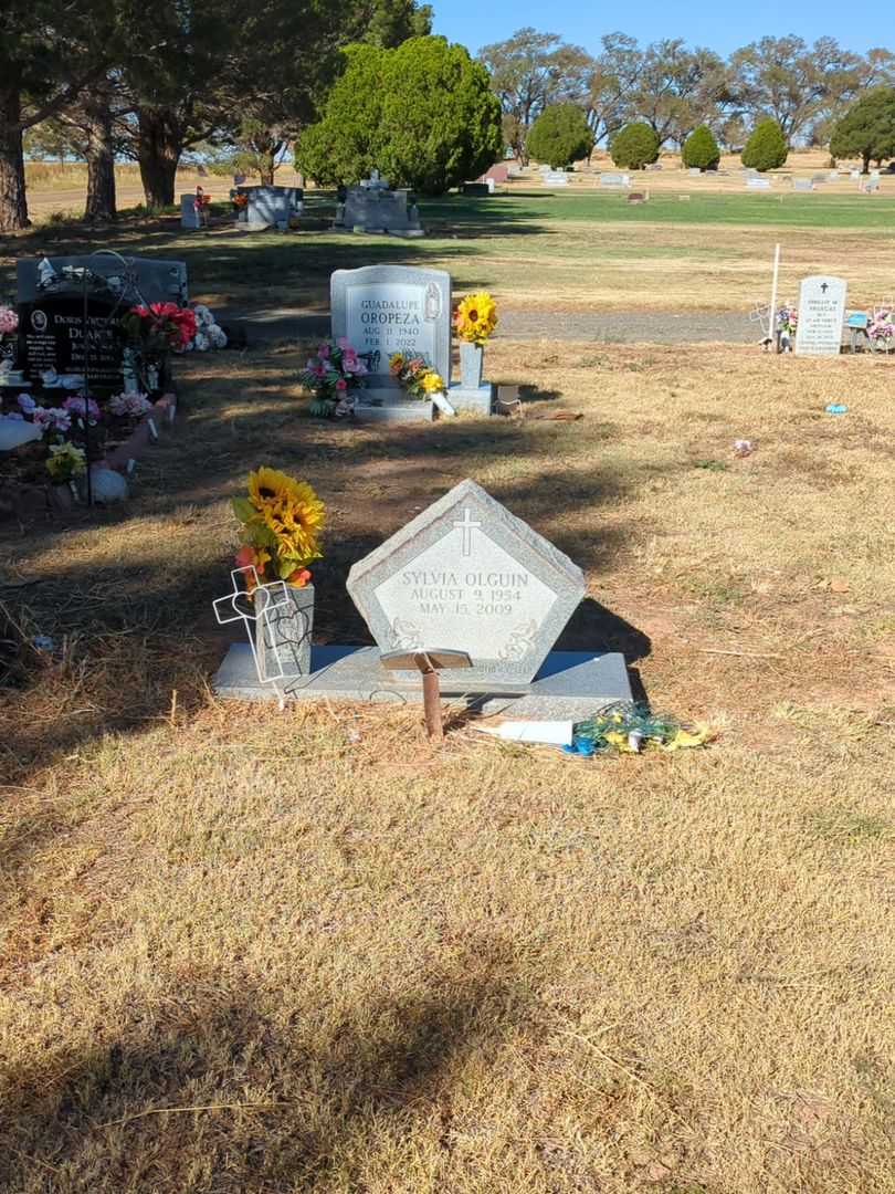 Sylvia Olguin's grave. Photo 2