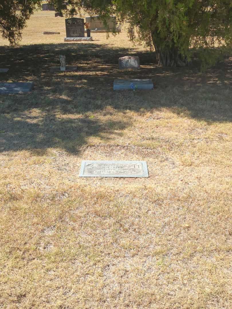 George Bert Nesbitt's grave. Photo 2