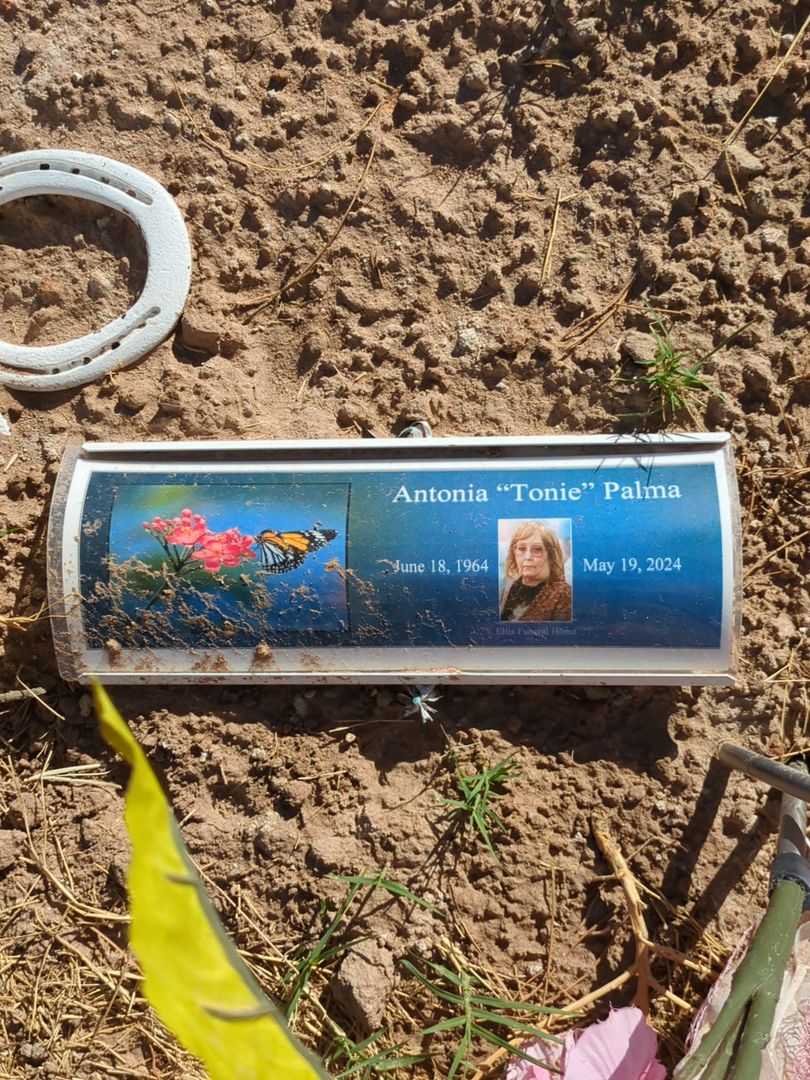 Antonia "Tonie" Palma's grave. Photo 1