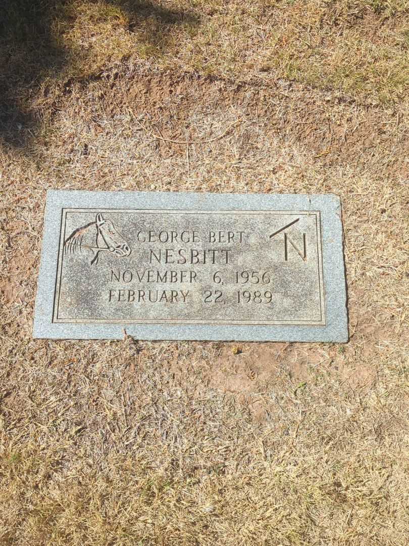 George Bert Nesbitt's grave. Photo 3