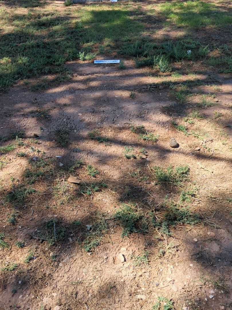 Charles Herman Elmore's grave. Photo 2