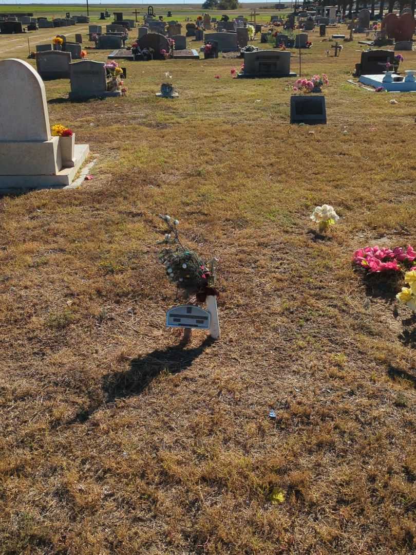 Noe Navarrette's grave. Photo 2