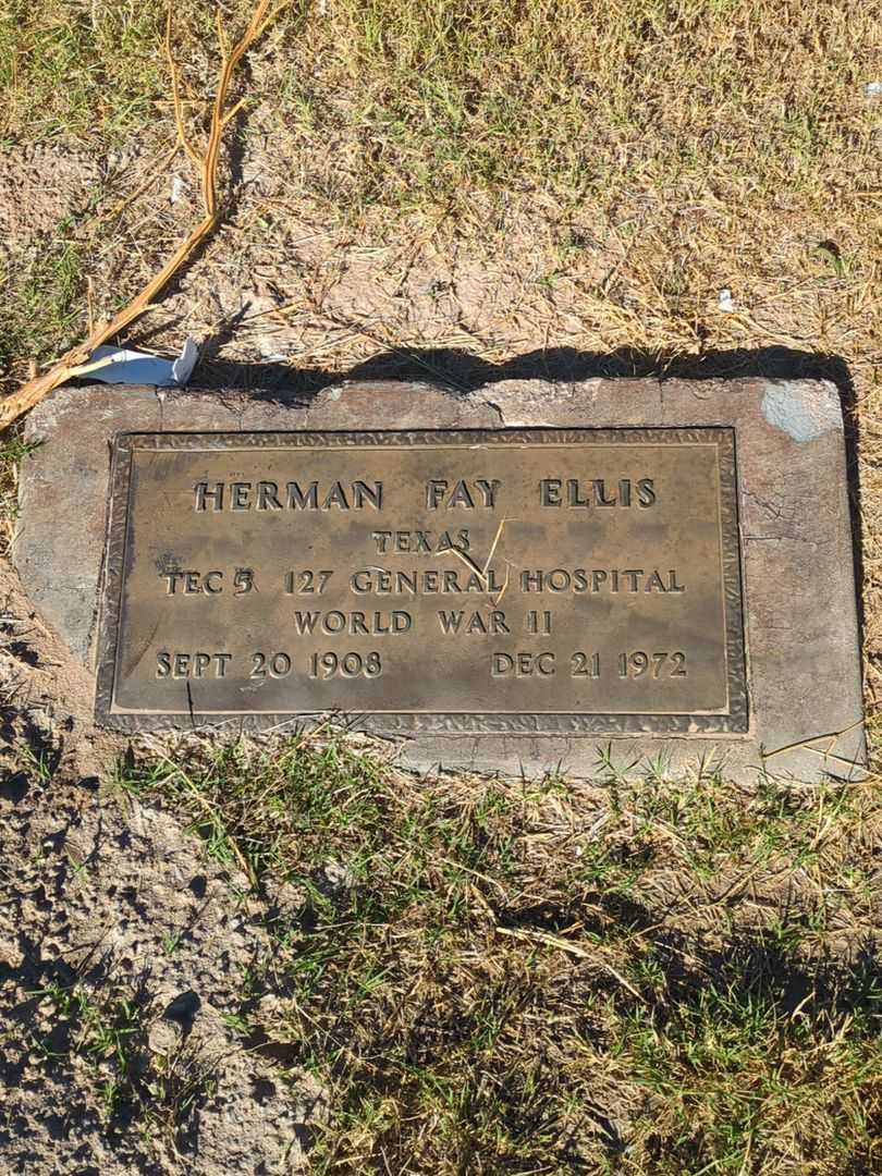 Herman Fay Ellis's grave. Photo 3