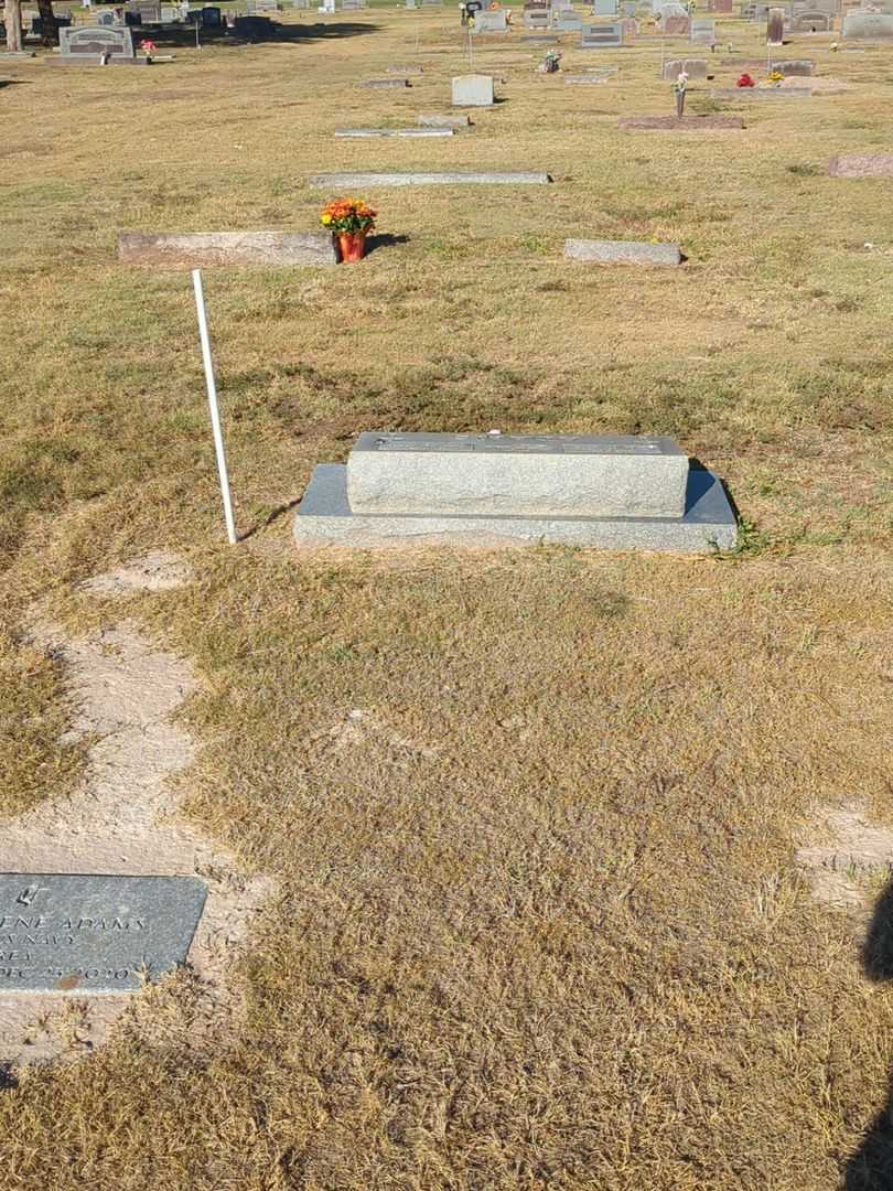 Bobby Gene Adams's grave. Photo 2