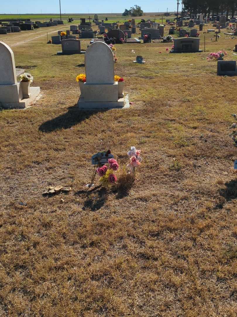 Carlos M. Navarrette's grave. Photo 2