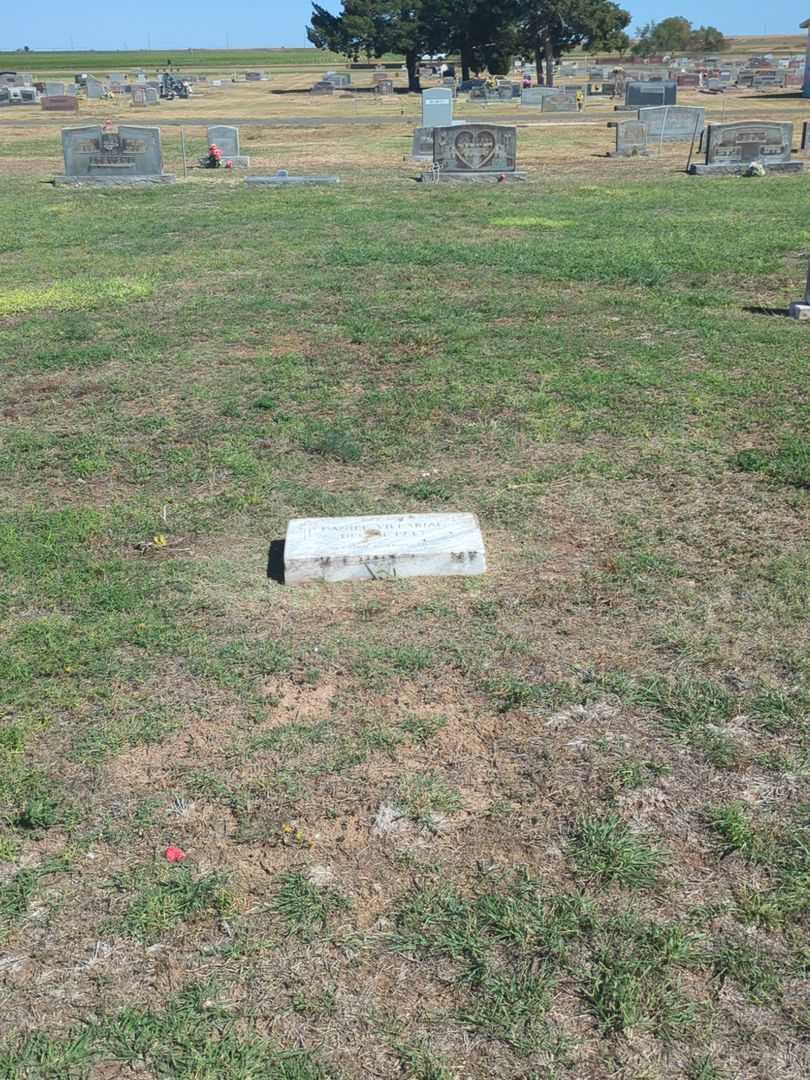 Daniel Villarial's grave. Photo 1