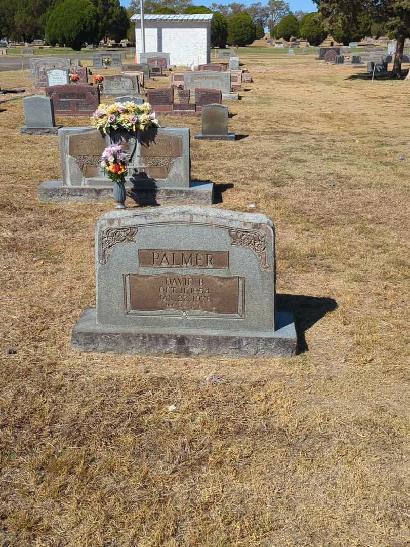 David B. Palmer's grave. Photo 2