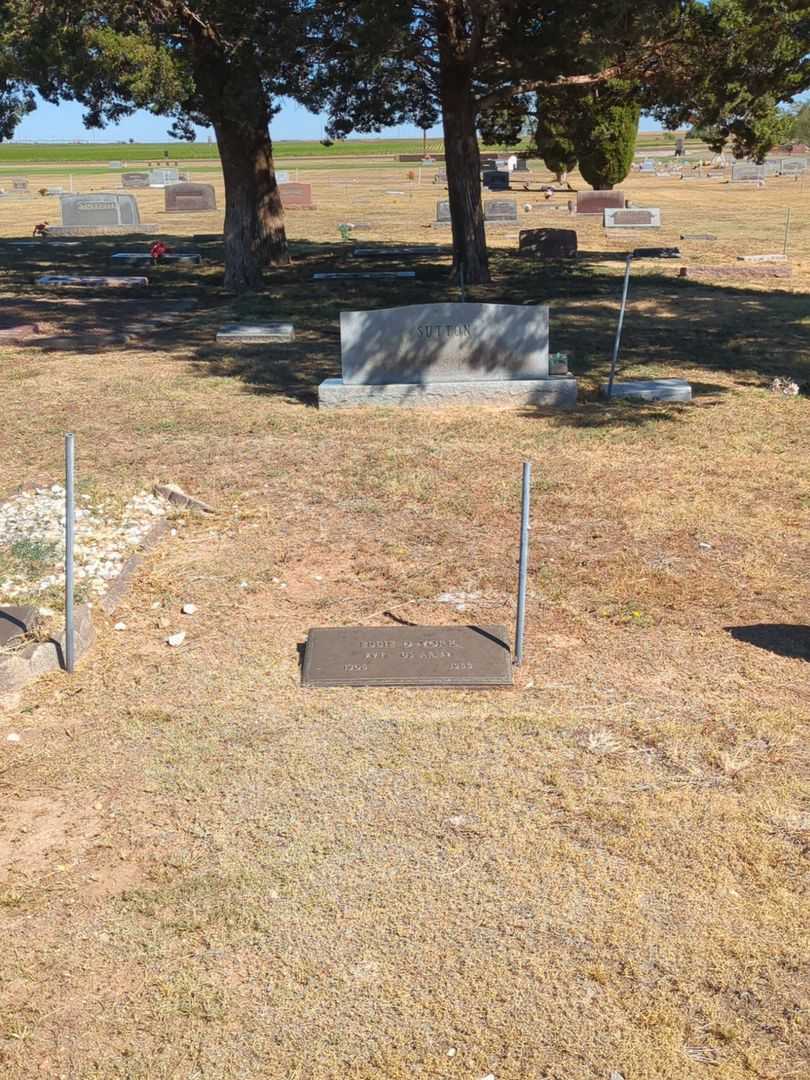 Ebbie D. York's grave. Photo 2