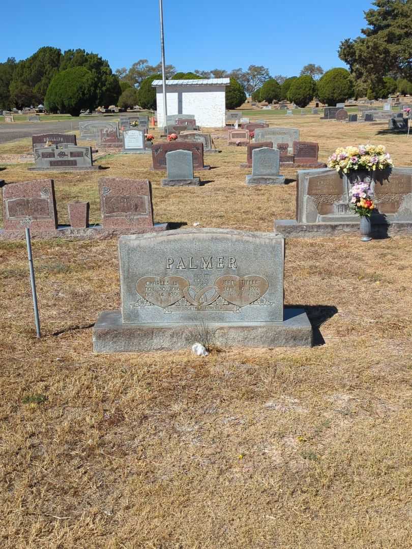 Charles Wofford Palmer's grave. Photo 2