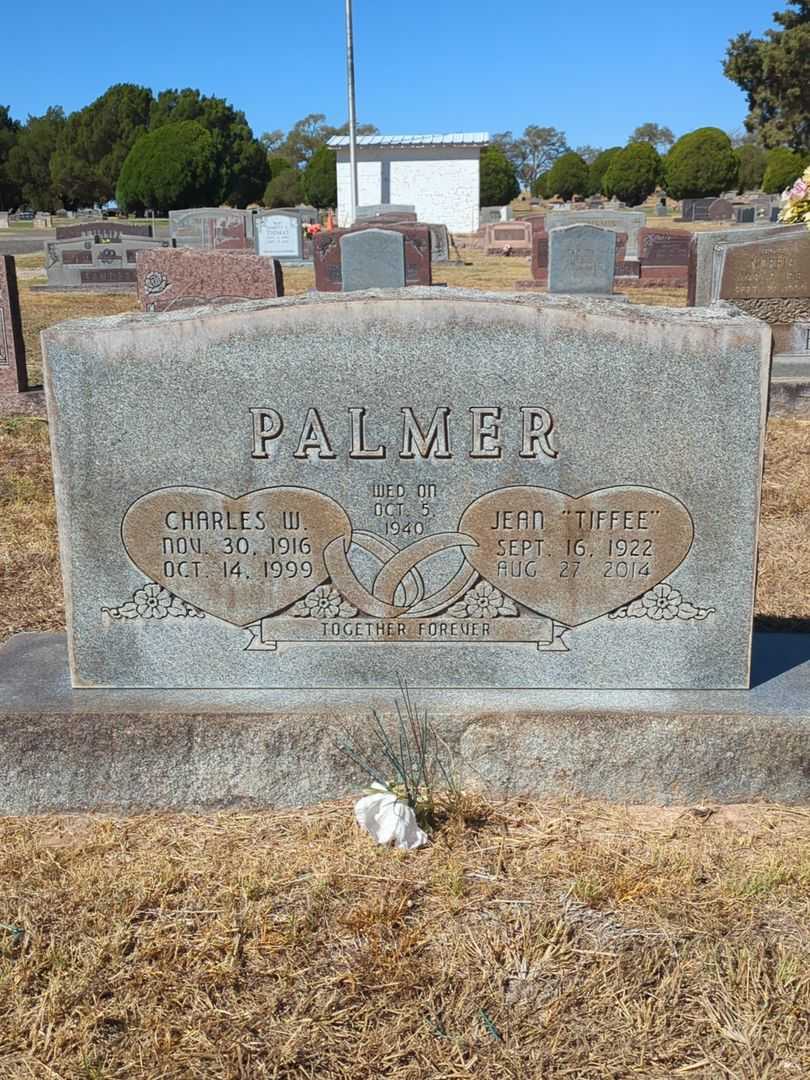 Charles Wofford Palmer's grave. Photo 3